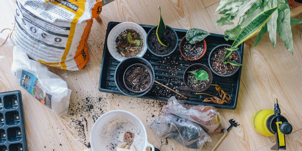 How to Start a Gardening Business [Step-by-Step Guide]
