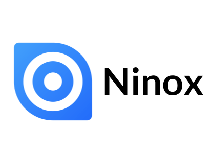 ninox alternative